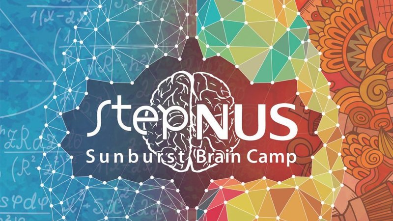 STEP NUS Sunburst Brain Camp 2018
